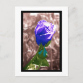 忘却 ポストカード (正面)