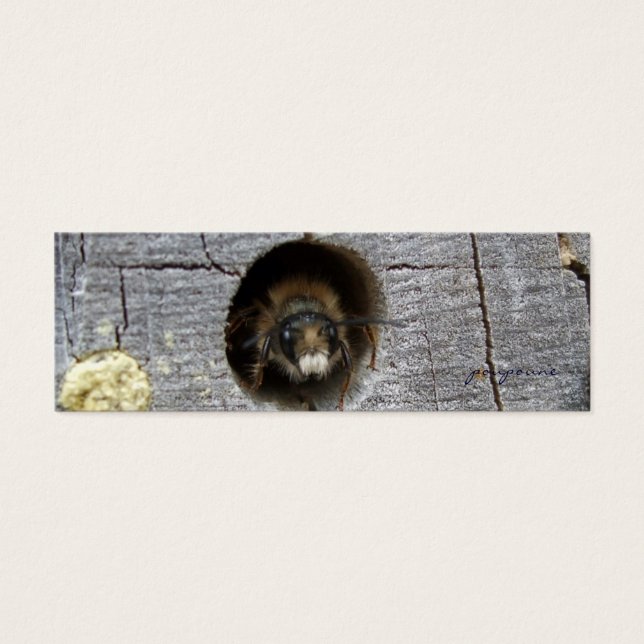 忙しいハチのブックマーク (正面)