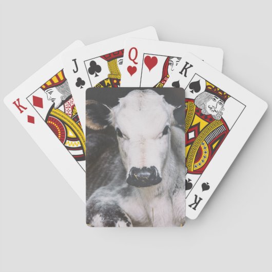 忙しい日の穀物 トランプ (裏面)