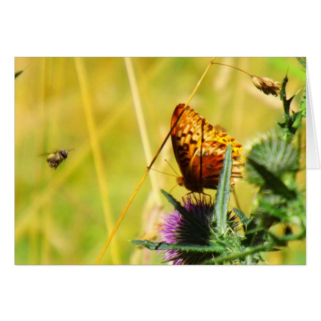 忙しい草原 (正面横)