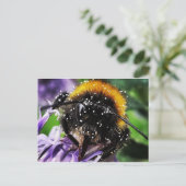 忙しのまわりに ポストカード (スタンド正面)