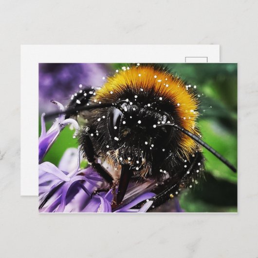 忙しのまわりに ポストカード (正面/裏面)