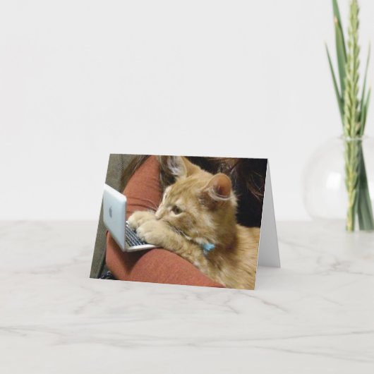 忙し子猫が***ハッピーバースデー**を伝える カード (正面)