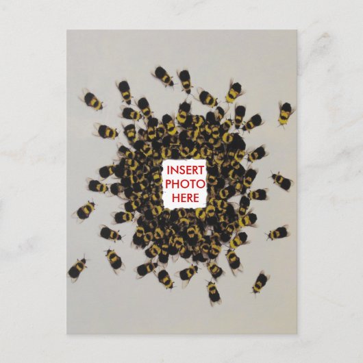 忙しBEE PHOTO INSERTはがき ポストカード (正面)