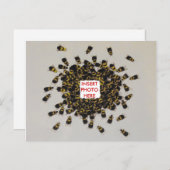 忙しBEE PHOTO INSERTはがき ポストカード (正面/裏面)