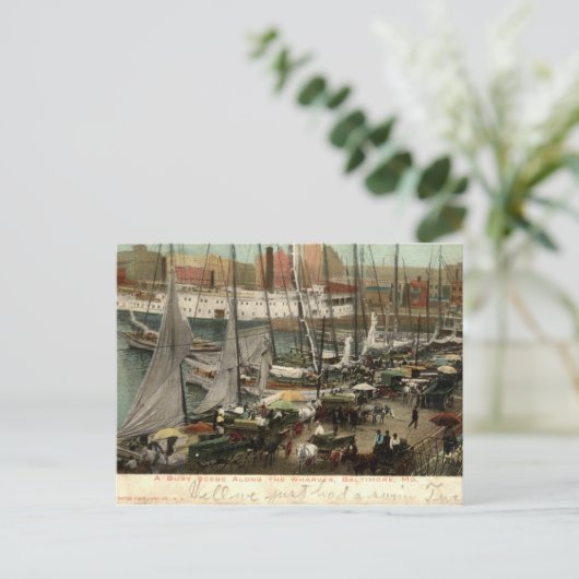 忙しScene Along the Wharves, Baltimore, MD 1905 ポストカード (スタンド正面)