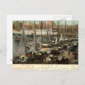 忙しScene Along the Wharves, Baltimore, MD 1905 ポストカード (正面/裏面)