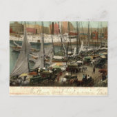忙しScene Along the Wharves, Baltimore, MD 1905 ポストカード (正面)