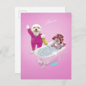 応援からくつろぎ 案内ポストカード (正面/裏面)