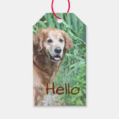 応援から美しい日 ギフトタグ (正面)