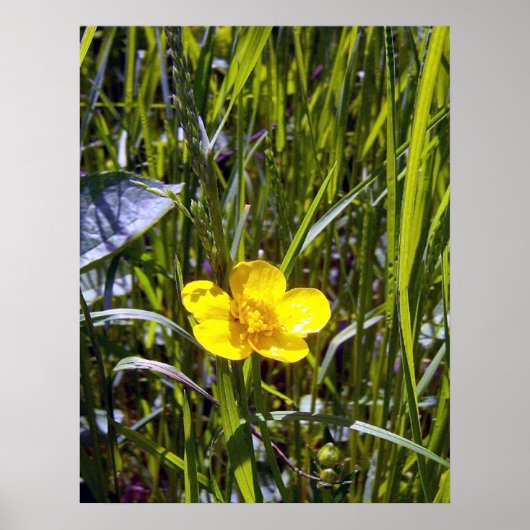 応援アップバターカップポスター ポスター (正面)