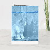 応援アップブルー子猫カード カード (裏面)