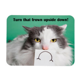 応援アップ勇気付けられるおもしろい猫の眉をひそめる マグネット