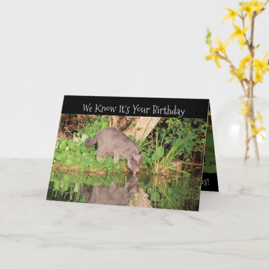 応援誕生日飲料 カード (黄色い花)