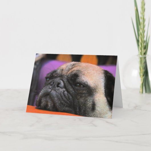 応援! パグの挨拶状 カード (正面)
