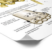 応用運動学カイロプラクティックポスター ポスター (角)