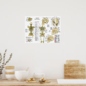 応用運動学カイロプラクティックポスター ポスター (キッチン)