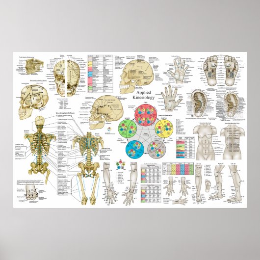 応用運動学カイロプラクティック骨質病患者ポスター ポスター (正面)