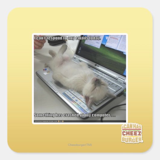 応答できない スクエアシール (正面)