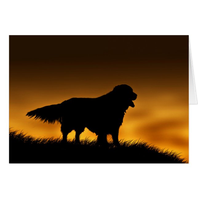 忠実なゴールデンレトリバー (正面横)