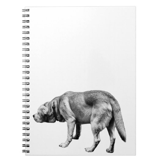 忠実なパトロールからのメモ ノートブック (正面)