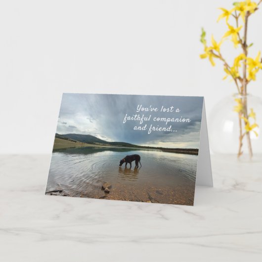 忠実な仲間の失われた犬の同情カード カード (黄色い花)