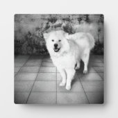 忠実な愛のプラーク フォトプラーク (正面)