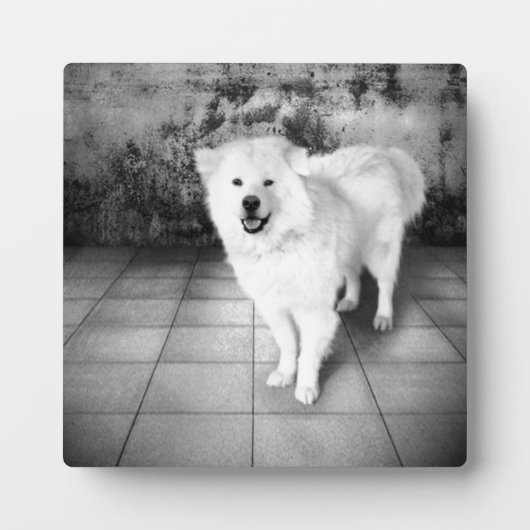 忠実な愛のプラーク フォトプラーク (正面)