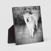 忠実な愛のプラーク フォトプラーク (正面)