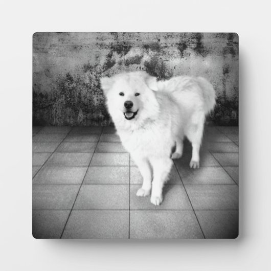 忠実な愛 フォトプラーク (正面)