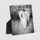 忠実な愛 フォトプラーク (正面)