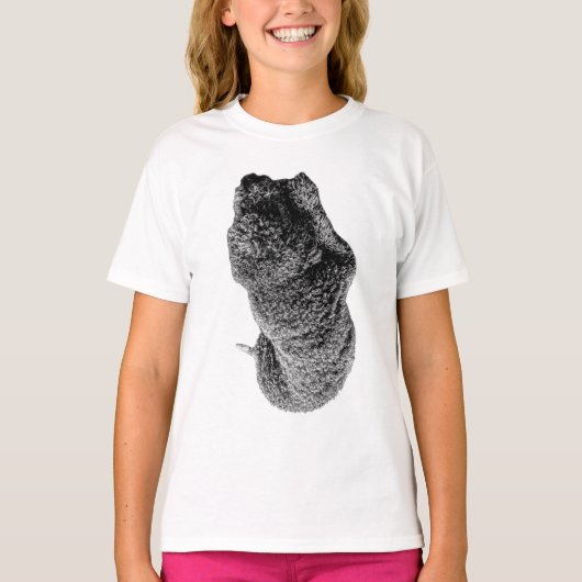 忠実な曲線 Tシャツ (正面)