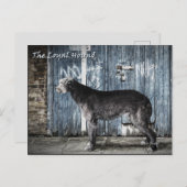 忠実な犬 ポストカード (正面/裏面)