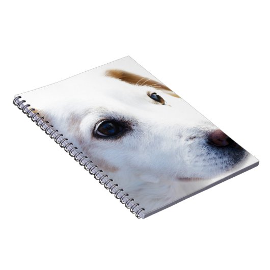 忠実な目を持つ白い犬、動物ペット犬BFF ノートブック (右側)
