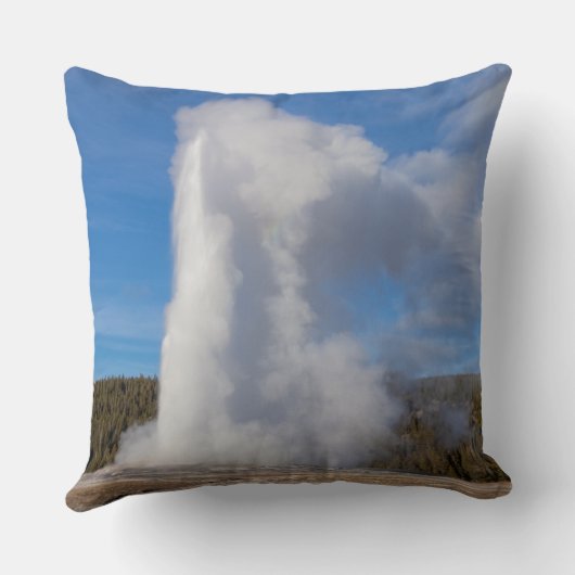 忠実な老人 クッション (裏面)