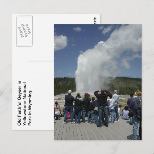 忠実な老人 ポストカード (正面/裏面)