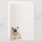 忠節で白いブルドッグによって並べられる筆記用紙 便箋 (正面/裏面)