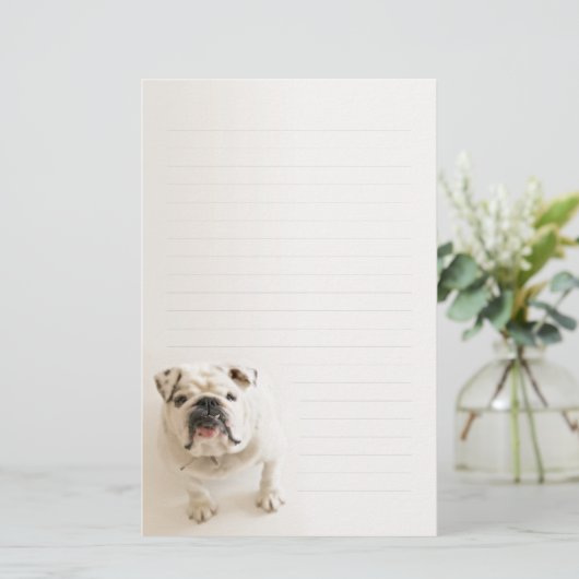 忠節で白いブルドッグによって並べられる筆記用紙 便箋 (スタンド正面)