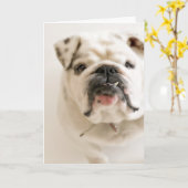 忠節で白いブルドッグの写真 カード (黄色い花)