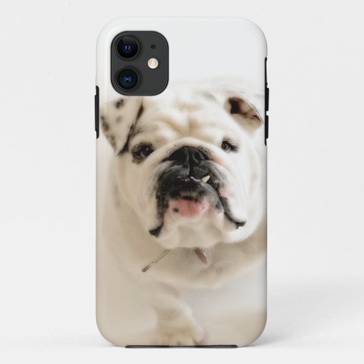 忠節で白いブルドッグの写真 Case-Mate iPhoneケース (裏面)