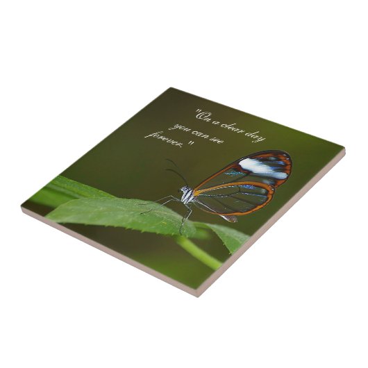 "快晴日で"のGlasswingの蝶デザイン タイル (側面)