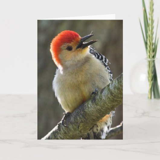 快活な挨拶 カード (正面)