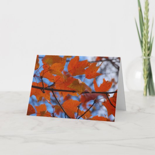 快活な紅葉 シーズンカード (正面)