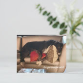 快適なボルゾイ葉書 ポストカード (スタンド正面)