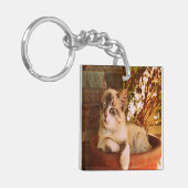 快適な眠い子猫 キーホルダー (正面左)