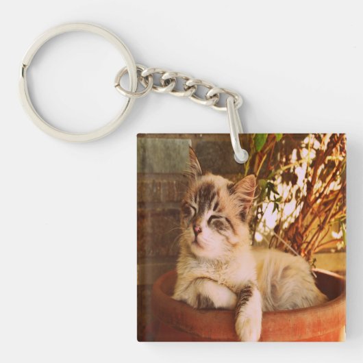 快適な眠い子猫 キーホルダー (正面)