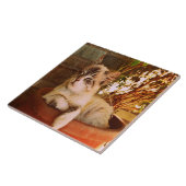 快適な眠い子猫 タイル (側面)