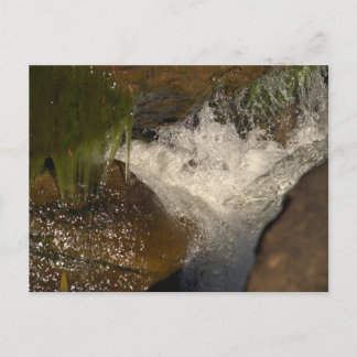 快適に囲まれる ポストカード