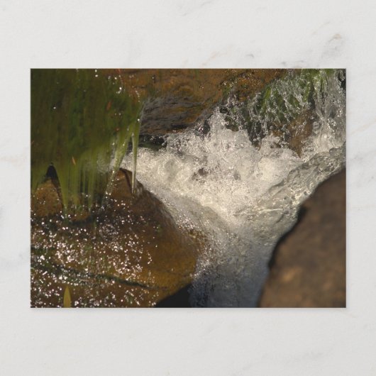 快適に囲まれる ポストカード (正面)