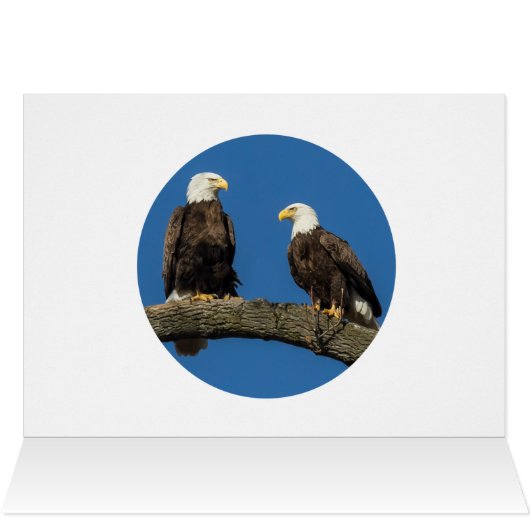 快適のまわりにな (内部横(上))